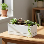 D'vine Dev 12 Inch Window Box Planter, Rectangle Plastic Herb Planter - Image 4