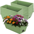 Window Box Planter, 12 Pack Plastic Vegetable Flower Planters Boxes 17 Inches by LOCONHA