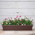 Root & Vessel 16363, Countryside Flower Box Planter - Image 3