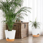 GARDIFE 10/9/8 inch Plant pots, planters - Image 3