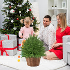 2 Set of 23.6" Artificial Norfolk Tree - Image 4