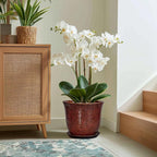 Ceramic Pots for Plants - Image 5