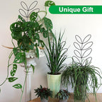2 Pcs Plant Trellis Indoor, Plant Support - Image 6