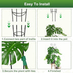 Coomin 32.6in Monstera Plant Support - Image 5