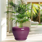 10 Inch Plant Pot - Image 4