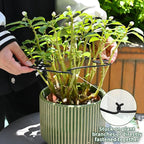 5PCS Black Monstera Plant Stem Support 9x7.6in - Image 4