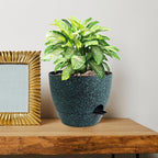10 inch Self Watering Pots, Plant Pots - Image 7