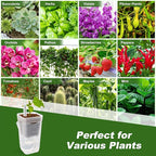 12 Pack Self Watering Pots Set for Indoor Plants, 2.5" Small Clear Self - Image 7