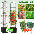 Garden Obelisk Trellis for Climbing Plants - Image 5