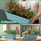 Window Box Planter, 12 Pack Plastic Vegetable Flower Planters Boxes 17 Inches - Image 6