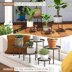 Plant Stand Indoor Outdoor 5 Pack Heavy Duty Metal Stand Multiple Plants - Image 6