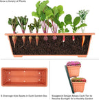 Raised Garden Beds - Image 5