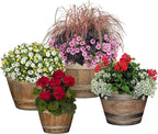 Classic Home and Garden S74CP5D-037R Whiskey Barrel Planter 5 Pack, Kentucky - Image 5