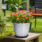 12 Inch Pot for Plants- Ceramic Planter Indoor Outdoor, Round Large Plant Pots - Image 4