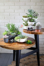 The HC Companies 8 Inch Round Plastic Succulent Capri Bowl Decorative Indoor - Image 4
