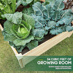AMERLIFE 8x4 Ft Wood Raised Garden Bed, Durable 15 Inch Depth Planter Box - Image 8