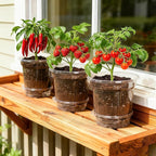 12 Pack 6.5 Inch Clear Self Watering Plant Pots - Image 7