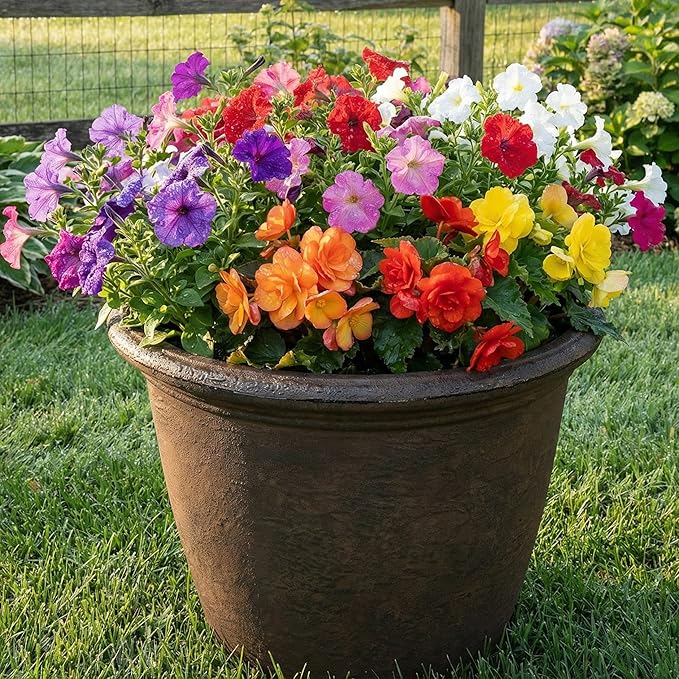 Sunnydaze 20-Inch Anjelica Large Plastic Pot - Image 7