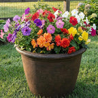 Sunnydaze 20-Inch Anjelica Large Plastic Pot - Image 7