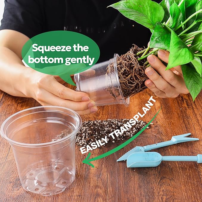 50 Packs 4 Inch Reinforced Clear Nursery Pots - Image 5