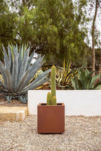 Veradek Corten Steel Series Cube Planter - Image 8