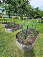 A ANLEOLIFE 8X4X1.5 ft Galvanized Raised Garden Beds Outdoor, Oval Large Metal - Image 2