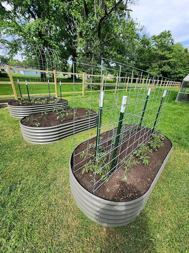 A ANLEOLIFE 8X4X1.5 ft Galvanized Raised Garden Beds Outdoor, Oval Large Metal - Image 2