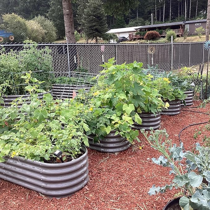 A ANLEOLIFE 6X2X1.5 ft Galvanized Raised Garden Beds Outdoor, Oval Round Metal - Image 2