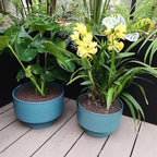 Ceramic Planters 13 Inch, Honeycomb Ceramic Pots - Image 6