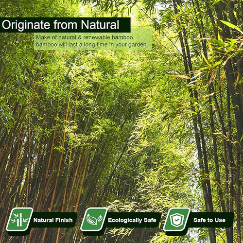 15pcs 3/4" D Thicker Heavy Duty Bamboo Stakes, 7FT Plant Stakes, Natural Garden - Image 2