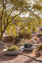 Veradek Mason Series Lane Bowl Planter| - Image 6