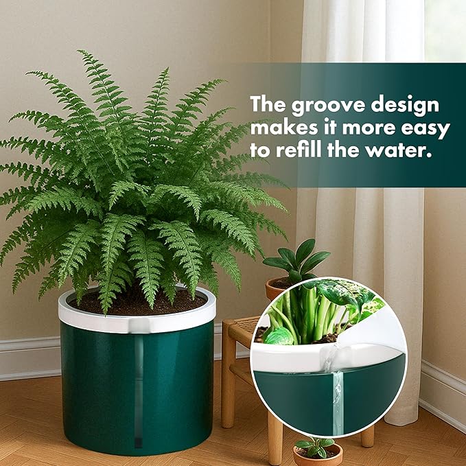 D'vine Dev 10 Inch Design Self Watering Planter - Image 7