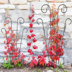 4 Pack 43'' Indoor Plant Trellis - Image 3