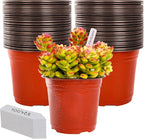 Plant Nursery Pot/Pots 100 Pcs 6" Plastic Small Plants Pots Flower Pots Seed by LWWTBS