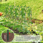 iGreely Cucumber Trellis for Raised Bed, U-Shape Garden Arch Metal Support for - Image 5