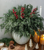 Cedar Stems Artificial Norfolk Pine Branches by Ivydale