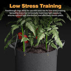 Self-Watering Grow Bags, for Low Stress Plant Training Fruits, Vegetables - Image 4