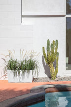 Veradek Pure Series Midori Trough Planter - Image 7
