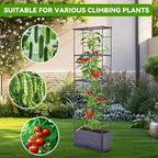 GENMOUS 2 Pack Rectangle 4 Tier Tomato Planter, Raised Garden Bed Tall 45'' - Image 6