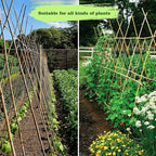 10pcs 1" D Thicker Heavy Duty Bamboo Stakes, 8FT Plant Stakes, Natural Garden - Image 8