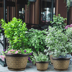 4 Pack 16 Inch Planter, Large Plastic Flower Pots Outdoor Indoor - Image 7