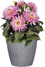 Classic Home and Garden Nantucket Planter - Image 3