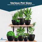 Lifemaster Plant Pots with Multi Drainage Holes - Image 4