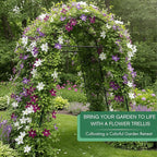 7ft Garden Arch Trellis for Climbing Plants Outdoor-Heavy Duty Metal Cucumber - Image 7