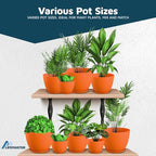 Yellow Plant Pots with Drainage Holes & Saucers 5 Pack, Indoor & Outdoor - Image 4