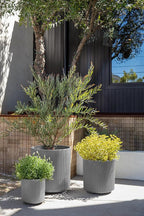 Veradek Demi Series Set of 3 Round Planters - Image 5