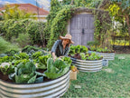 Plant & Plot Galvanized Raised Garden Beds Outdoor // 8×4×1 ft Planter Raised - Image 6