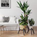 Adjustable Plant Stands Set of 2, Metal Small Plant Holder, Heavy Duty Stable - Image 8