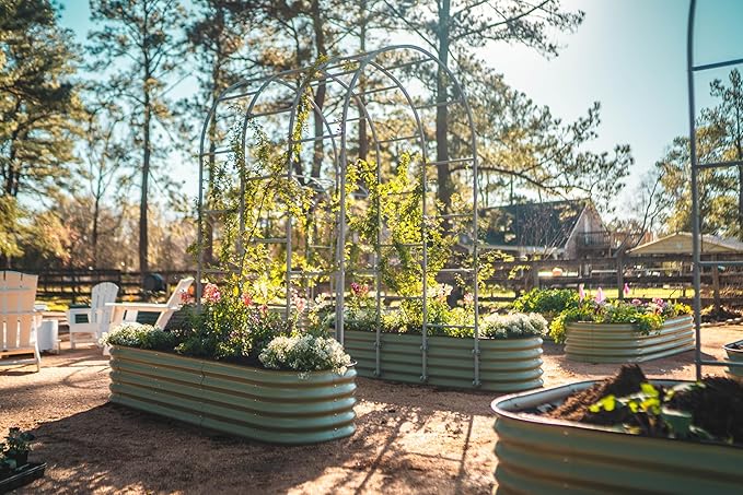 Vego garden Raised Garden Bed Kits - Image 9