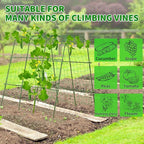Lalahoni Cucumber Trellis, 65x48 inch Garden Trellis - Image 3
